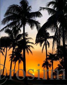 Atardecer Naples Florida