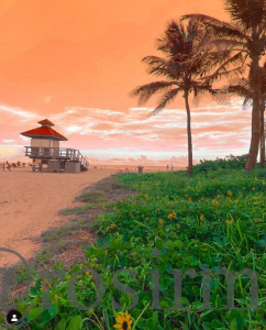 Miami Sunset